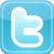 Logo-twitter-color